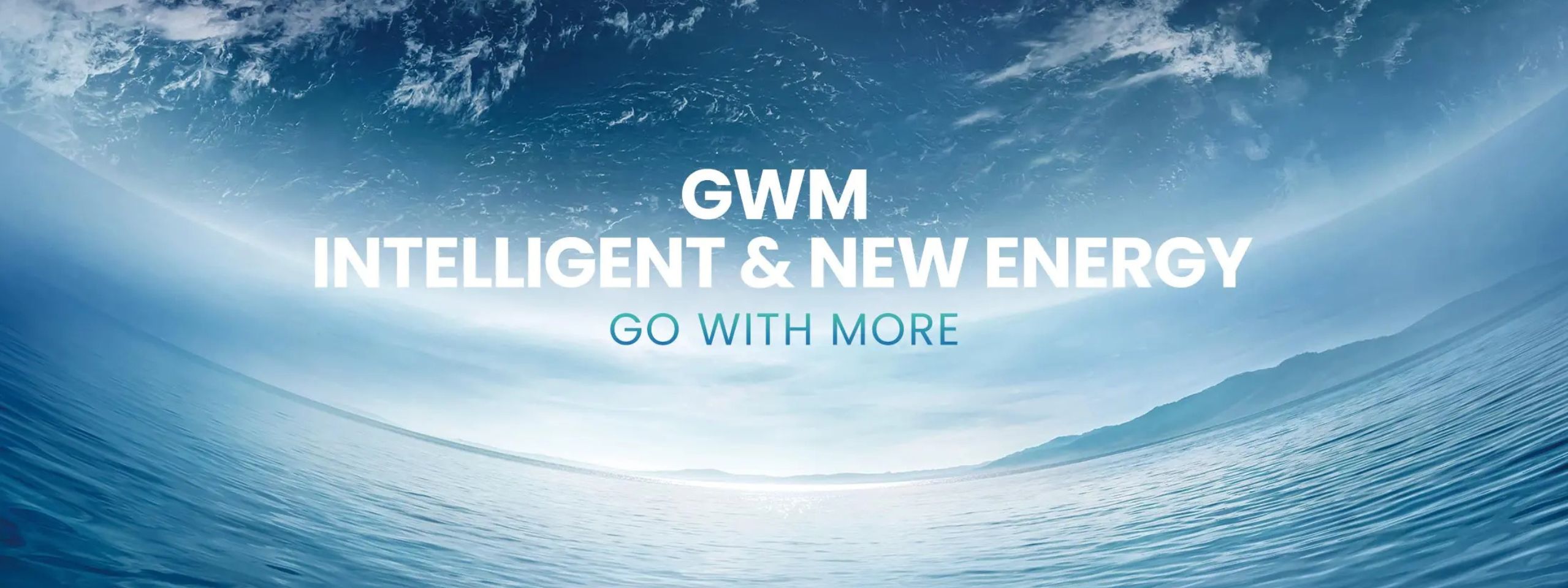 onehwm about